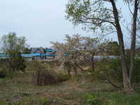  dscf0837.jpg 