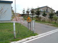  dscf0838.jpg 