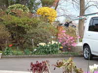  dscf0839.jpg 
