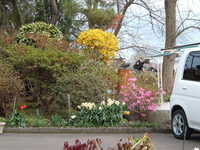  dscf0840.jpg 