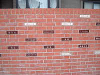  dscf0847.jpg 