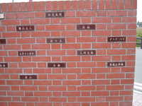  dscf0859.jpg 
