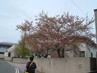  dscf0861.jpg 