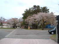 dscf0863.jpg 