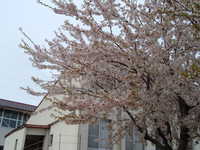  dscf0864.jpg 