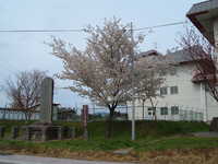  dscf0865.jpg 