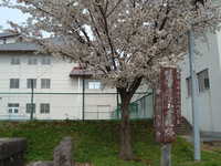  dscf0866.jpg 
