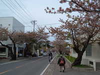  dscf0869.jpg 