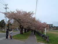  dscf0870.jpg 