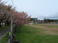  dscf0871.jpg 