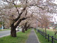  dscf0872.jpg 