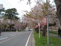  dscf0873.jpg 