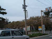  dscf0874.jpg 