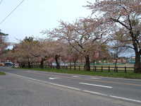  dscf0875.jpg 