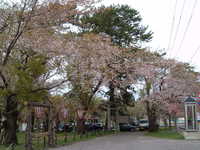  dscf0876.jpg 
