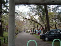  dscf0877.jpg 