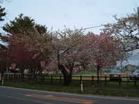  dscf0878.jpg 