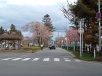  dscf0879.jpg 