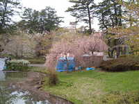  dscf0880.jpg 