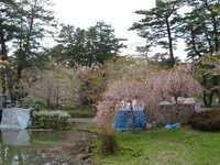 dscf0881.jpg 