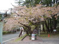  dscf0886.jpg 