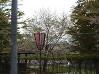 dscf0887.jpg 