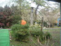  dscf0905.jpg 