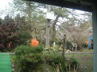  dscf0906.jpg 
