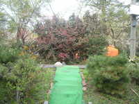  dscf0907.jpg 