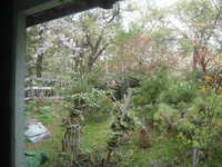  dscf0908.jpg 