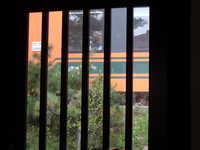  dscf0909.jpg 