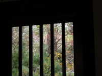  dscf0910.jpg 
