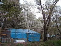  dscf0913.jpg 