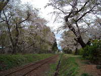  dscf0914.jpg 
