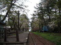  dscf0915.jpg 