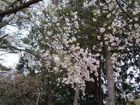  dscf0916.jpg 
