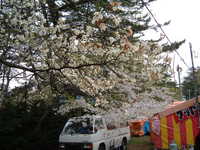  dscf0917.jpg 