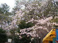  dscf0918.jpg 