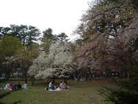  dscf0921.jpg 