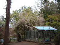  dscf0922.jpg 