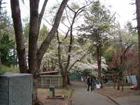  dscf0923.jpg 