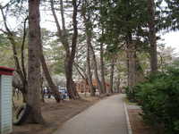  dscf0924.jpg 