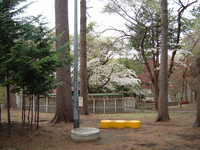  dscf0925.jpg 