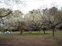 dscf0926.jpg 