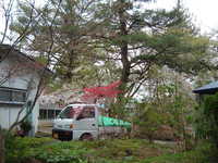  dscf0927.jpg 