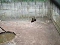  dscf0930.jpg 