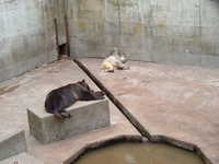  dscf0931.jpg 