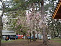  dscf0933.jpg 