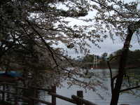  dscf0937.jpg 