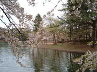  dscf0938.jpg 